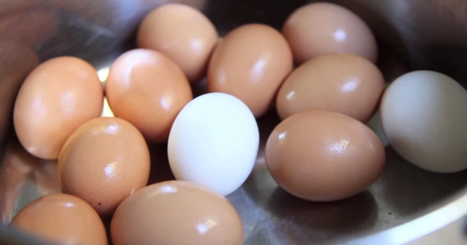 Egg Consumption Impact on Cholesterol Levels