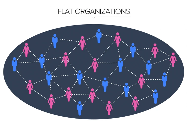The Power of Flat Organizational Models