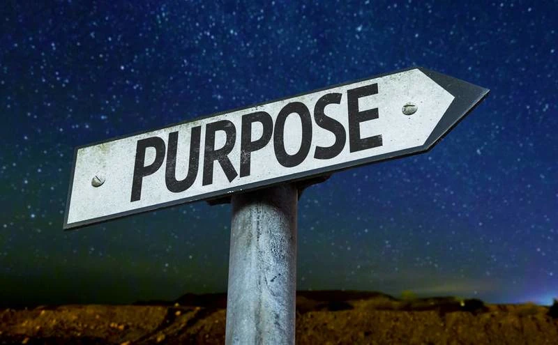 Unveiling Your Life's Purpose, The Search for Meaning and Fulfillment